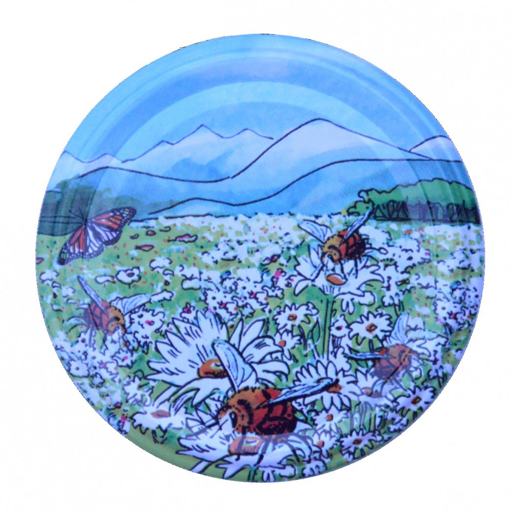 Capsule To63 Paysage Montagne (x100)