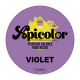 Peinture Apicolor 0,5L Violet