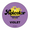 Peinture Apicolor 0,5L Violet