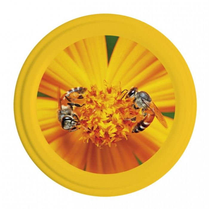 Capsule To82 Abeilles/Fleur Jaune Miel (x750)