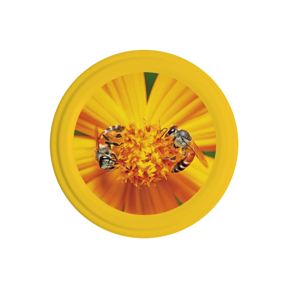 Capsule To82 Abeilles/Fleur Jaune Miel (x750)