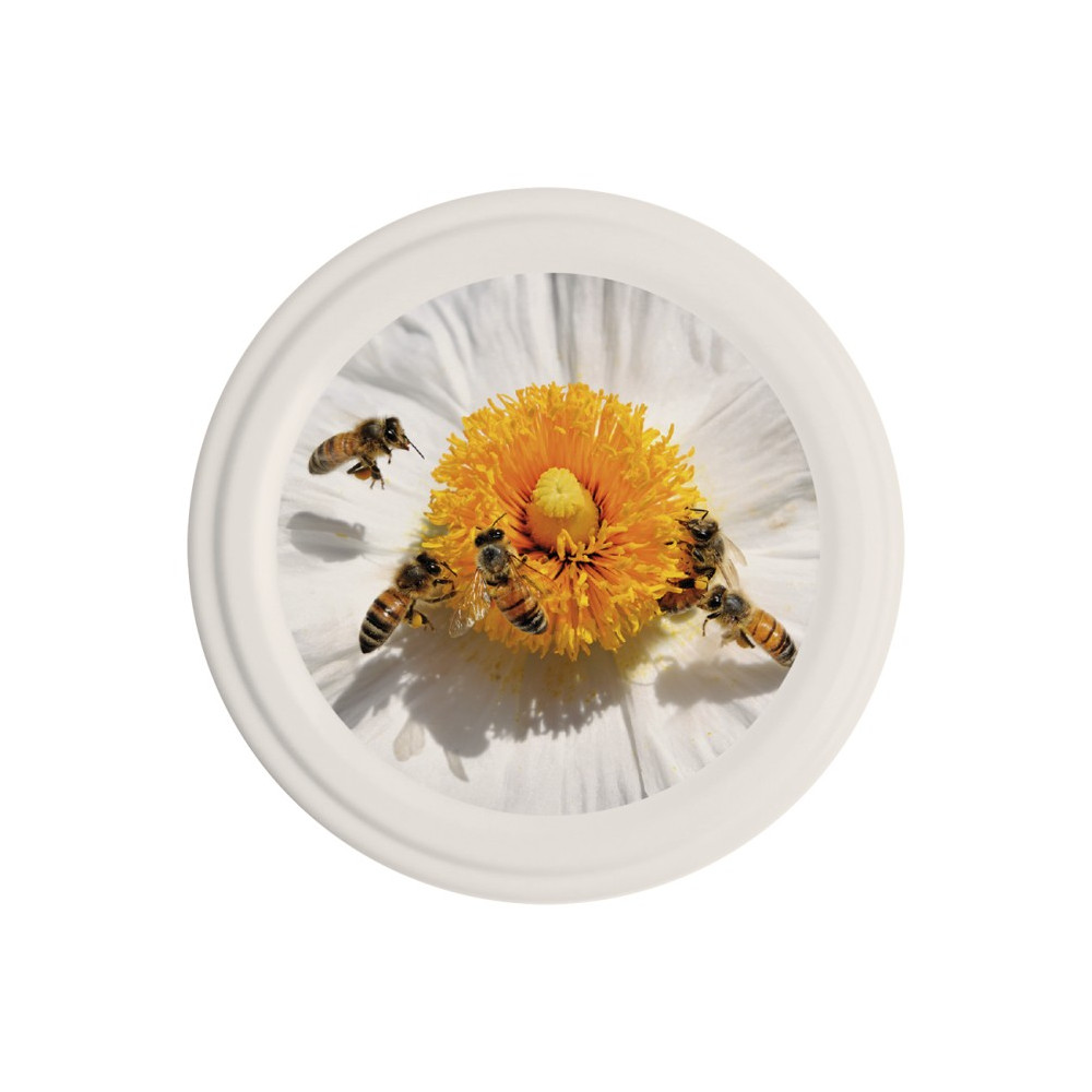 Capsule To63 Abeilles/Fleur Blanche (x1400)