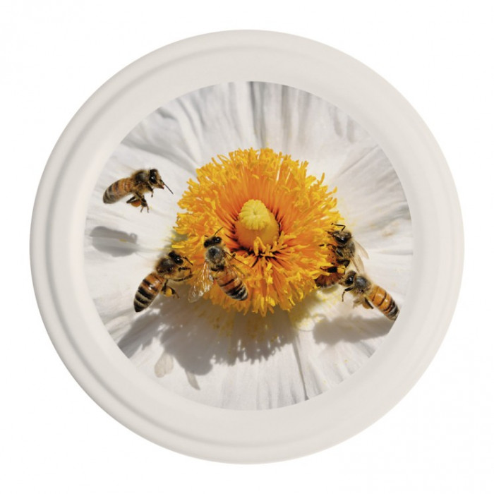 Capsule To82 Abeilles/Fleur Blanche (x750)