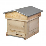 Ruche Dadant Vitrée 10C