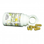 Gélules De Propolis Concentré