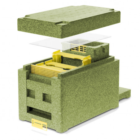Apidéa Olive Avec Nourrisseur Amovible