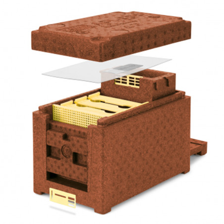 Apidéa EPP Marron Avec Nourrisseur Amovible