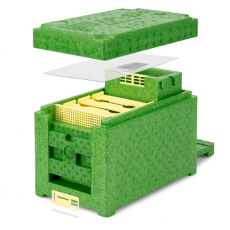 Apidéa EPP Vert Avec Nourrisseur Amovible