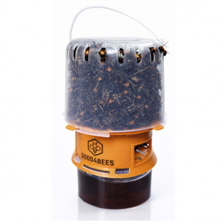 Piège Sélectif Good4Bees v2