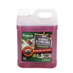 Attractif Protecta Frelons 2,5L