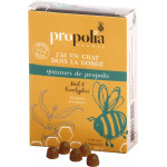 Gommes Propolis Eucalyptus