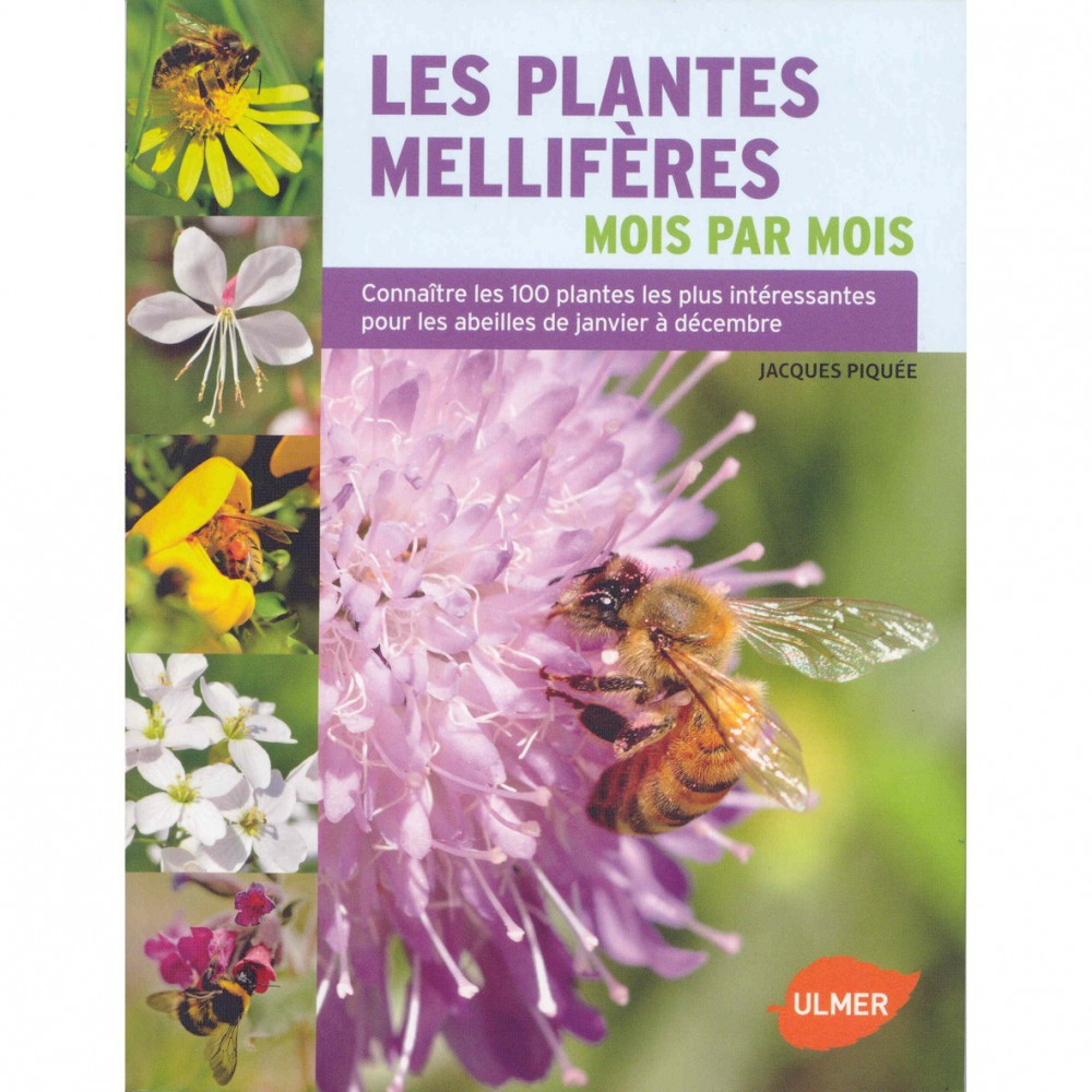 Les Plantes Melliferes Mois Par Mois