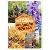 Elever Des Abeilles En Ruche Warré